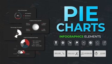 دانلود پروژه افترافکت اینفوگرافیک Infographic - Pie Charts